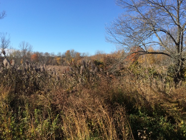 tumblr_nwurk7xrvc1uj13z1o3_1280