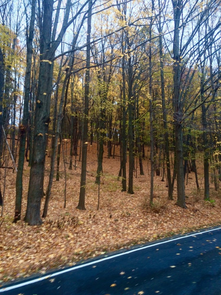 tumblr_nwykf8ykgn1uj13z1o2_1280