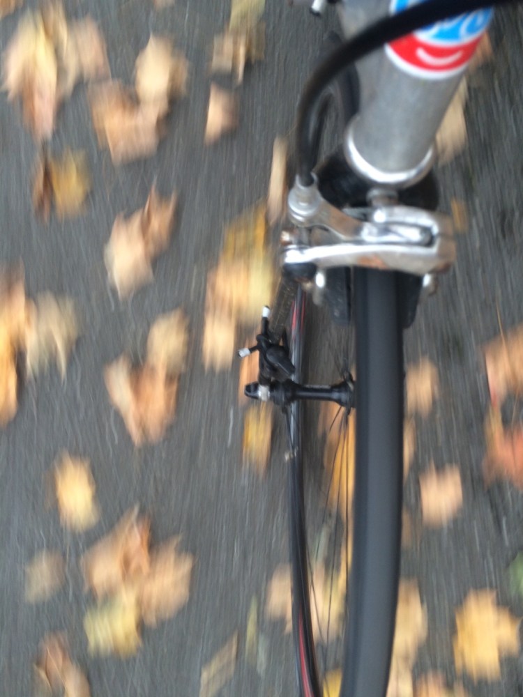 tumblr_nwykf8ykgn1uj13z1o3_1280