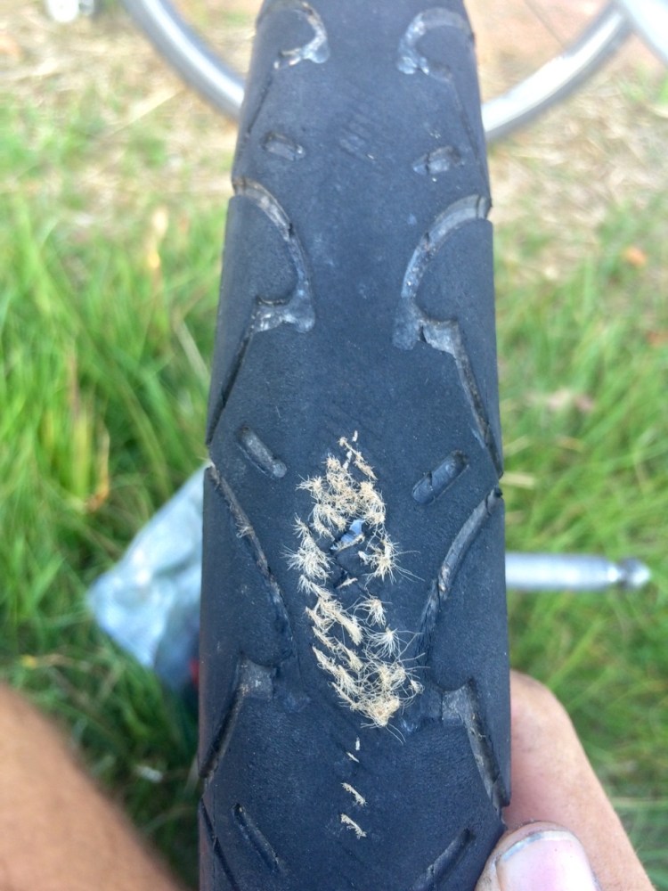 tumblr_nxdbr3gxn01uj13z1o6_1280