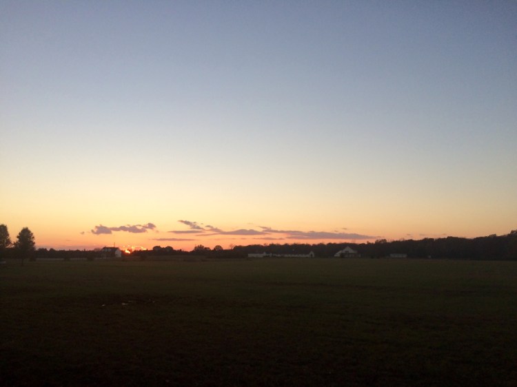 tumblr_nxdbr3gxn01uj13z1o7_1280