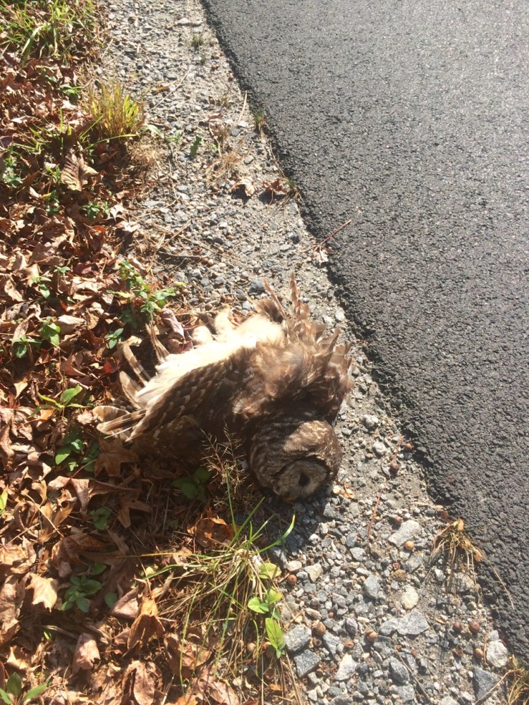 tumblr_nxf1mo6rda1uj13z1o3_1280