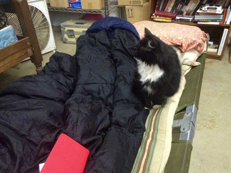 tumblr_nxoctee8rr1uj13z1o2_1280