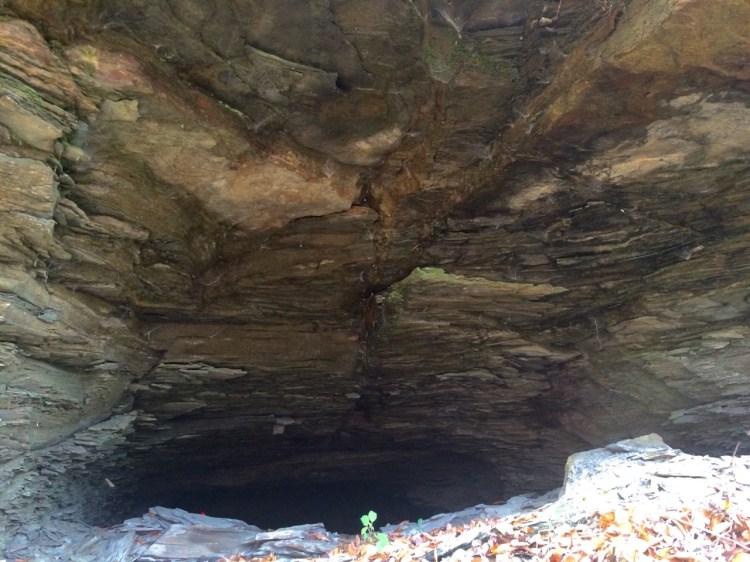 tumblr_nxxoctW2uM1uj13z1o2_1280