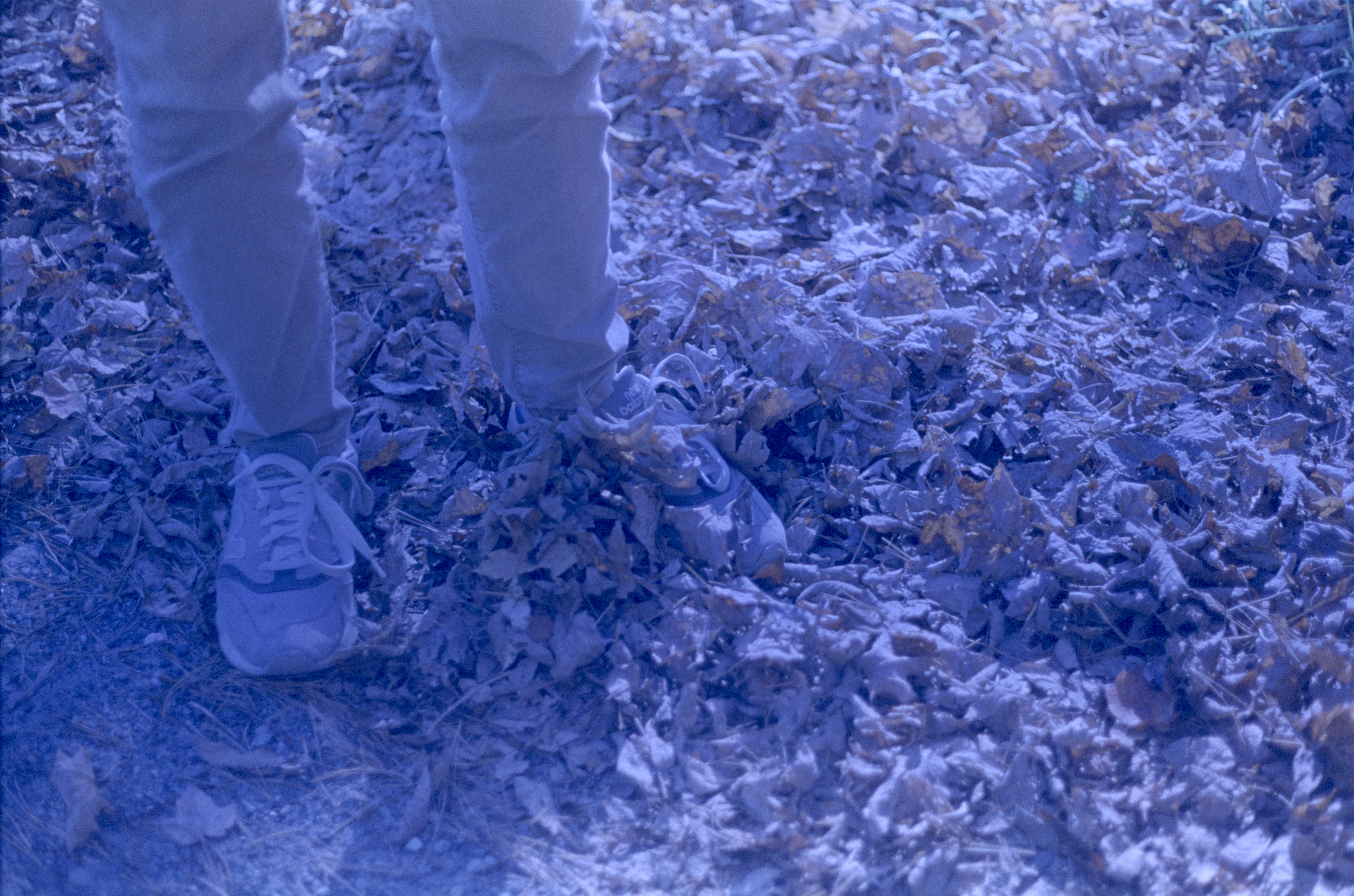leaves and sneakers shot on kodak ektachrome 64